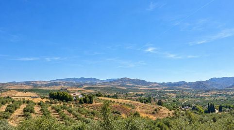 Impresionante Villa de Campo en Álora, Málaga, imagen 3
