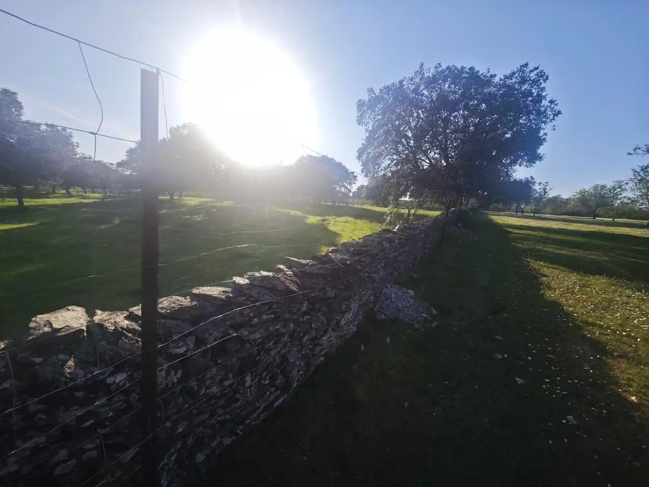 Vista exterior de Planta baja en venta en Plasencia