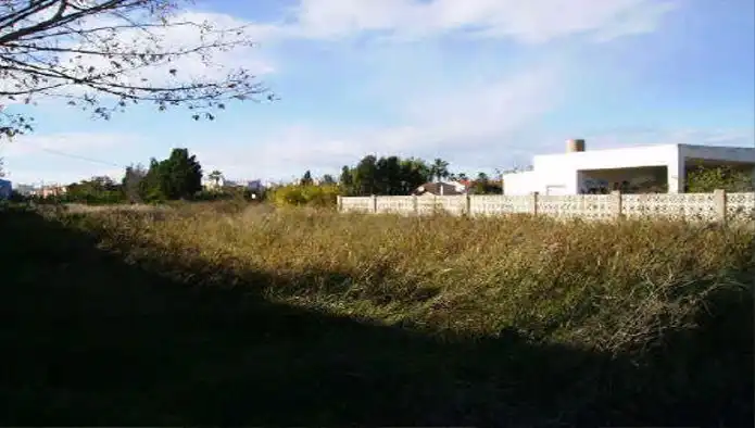 Terreny rústic en venda a Ptda Catalans o Almafara, imagen 8