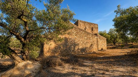 Foto 4 de Finca rústica en venta en L'Ampolla, Tarragona