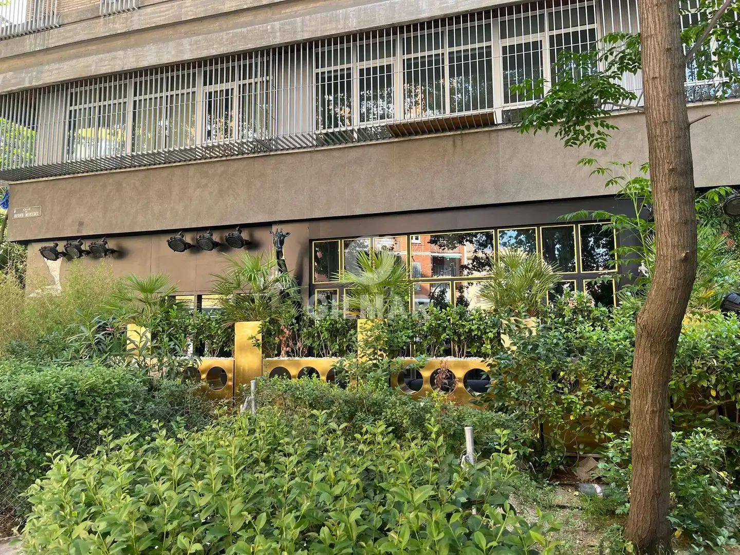 Vista exterior de Local en venta en Madrid con Calefacción
