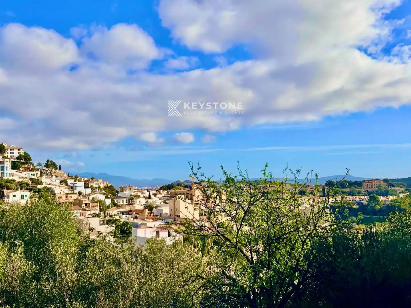 Terreny rústic en venda a Carrer del Penyal