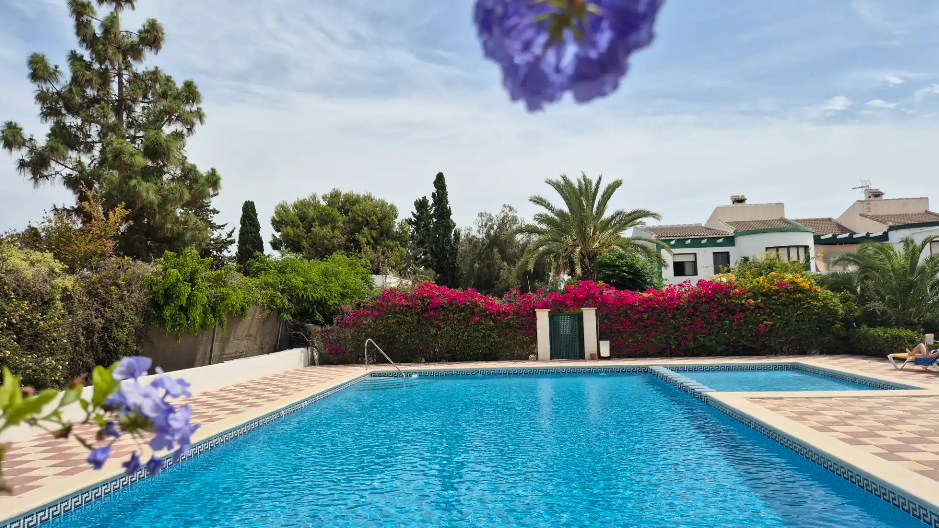 Swimming pool of Detached homes for sale in Elche / Elx  with Air Conditioner, Heating and Terrace