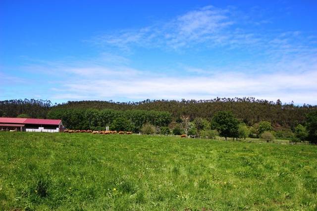 Terreno residencial en Venta en Mazcuerras
