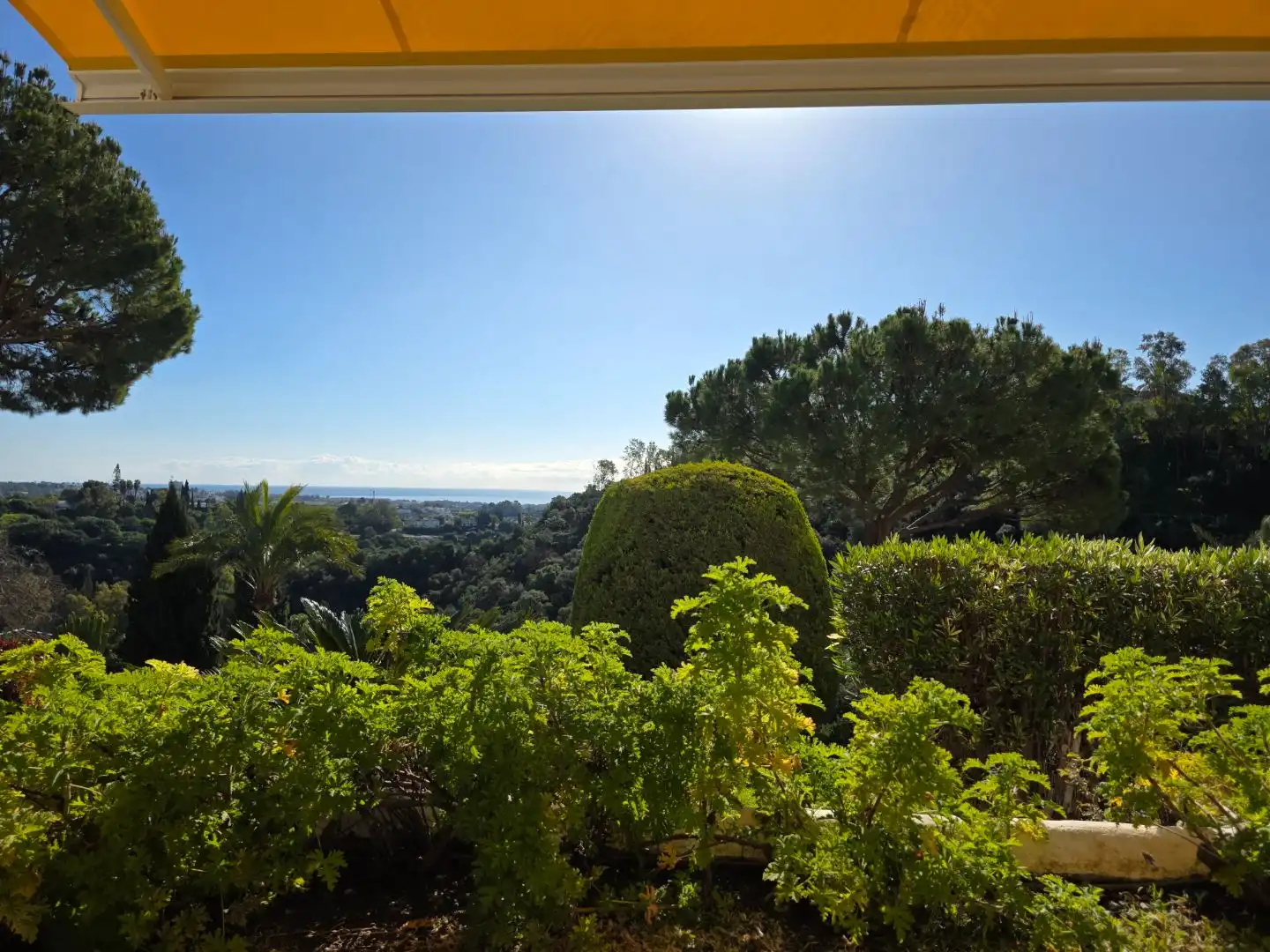 Apartment mit Pool zur Miete in Puerto del almendro 407