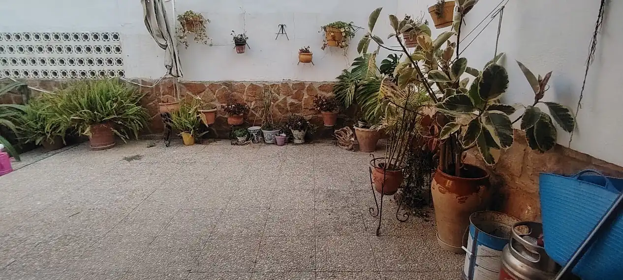 House with garden for sale in Calle Doctor 14, imagen 4