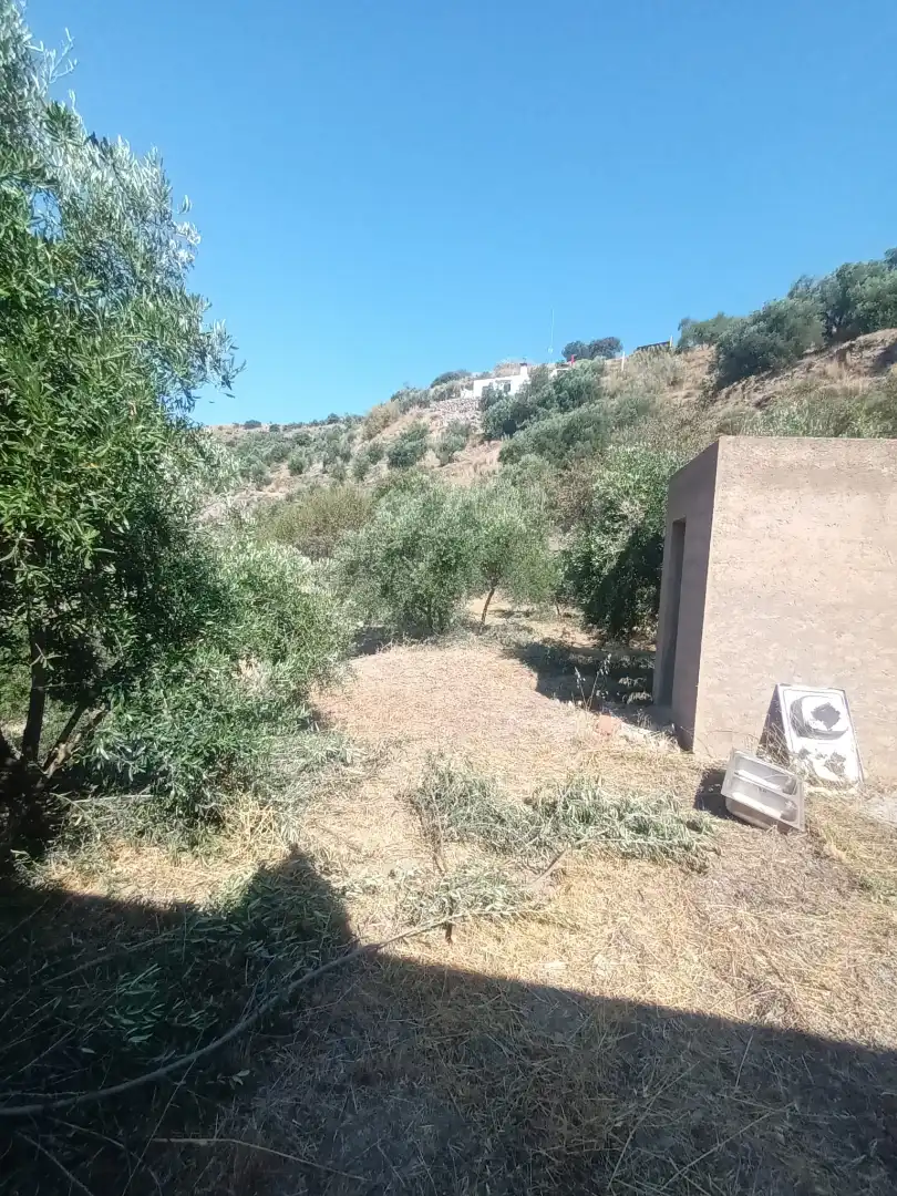 Terreno en venta en Paterna del Río