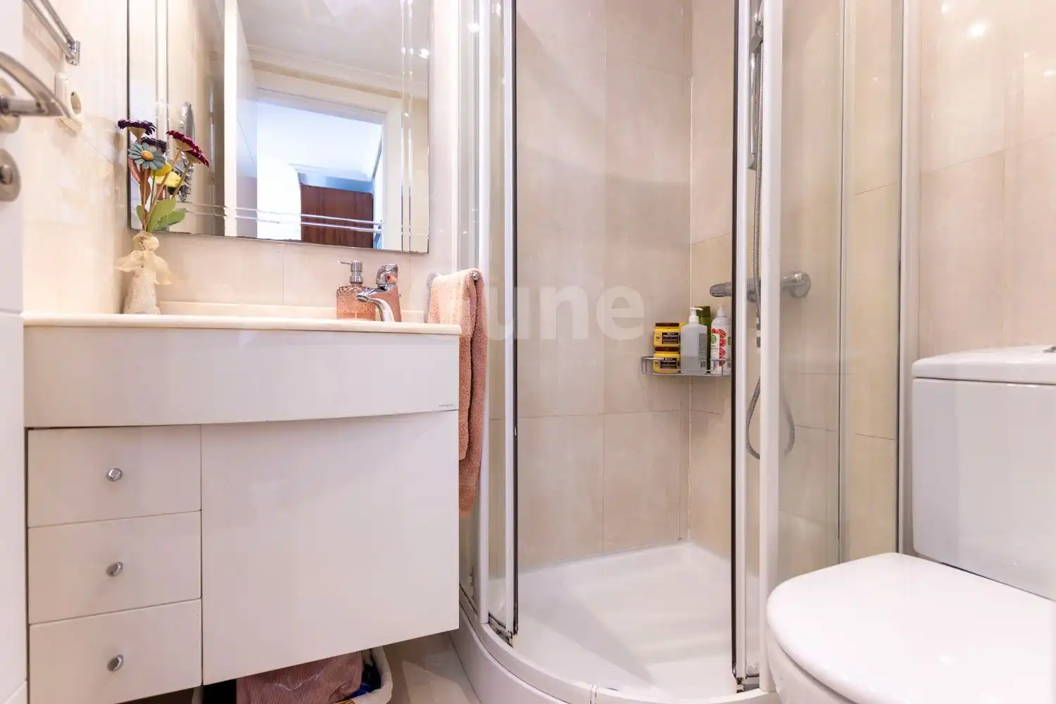 Flat with lift for sale in ORIAKO PASEALEKUA, imagen 15