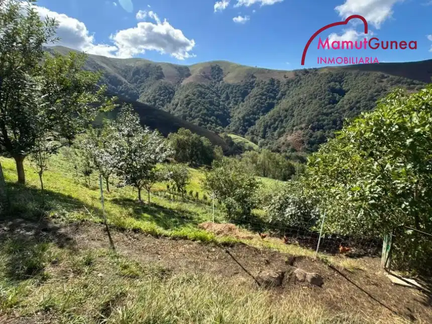 Vista exterior de Finca rústica en venta en Goizueta