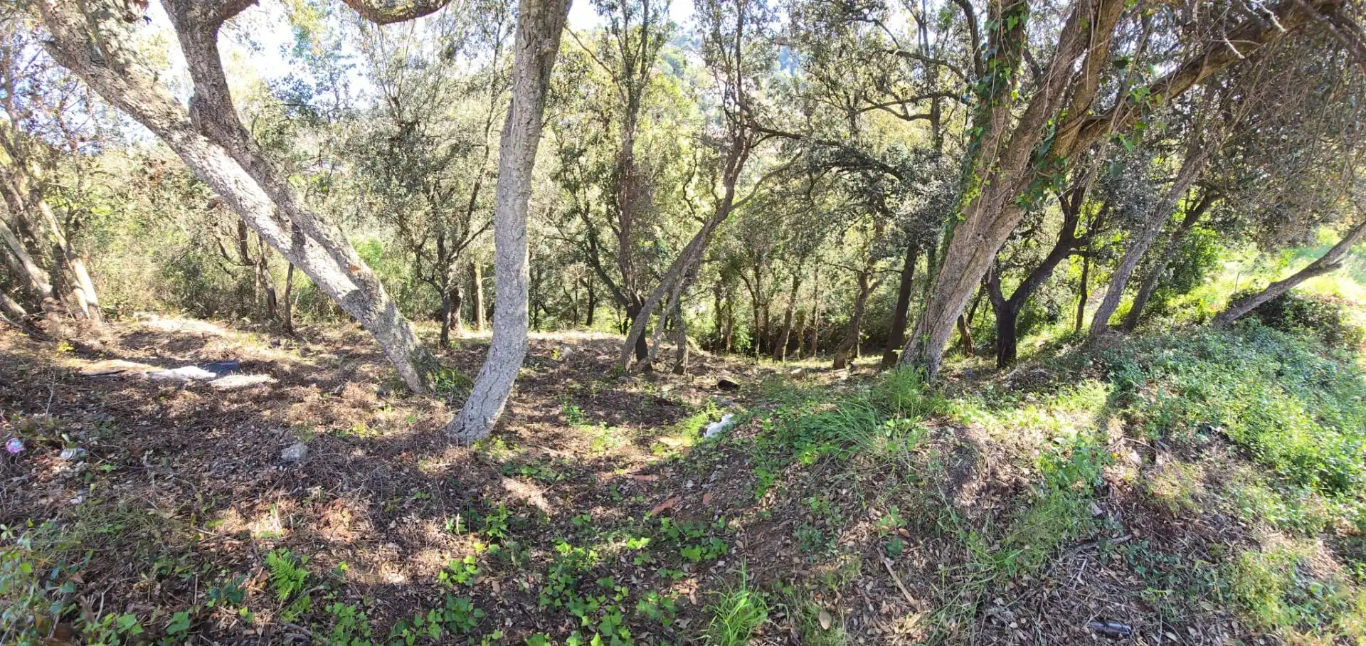 Residential land for sale in del Garrofer 7