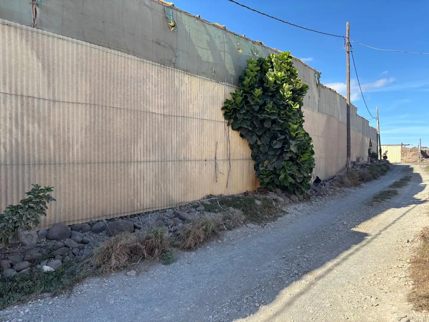 Vista exterior de Finca rústica en venda en Agüimes amb Jardí privat i Terrassa