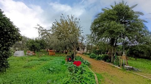 Foto 4 de Casa o chalet en venta en Umbrete, Umbrete, Sevilla