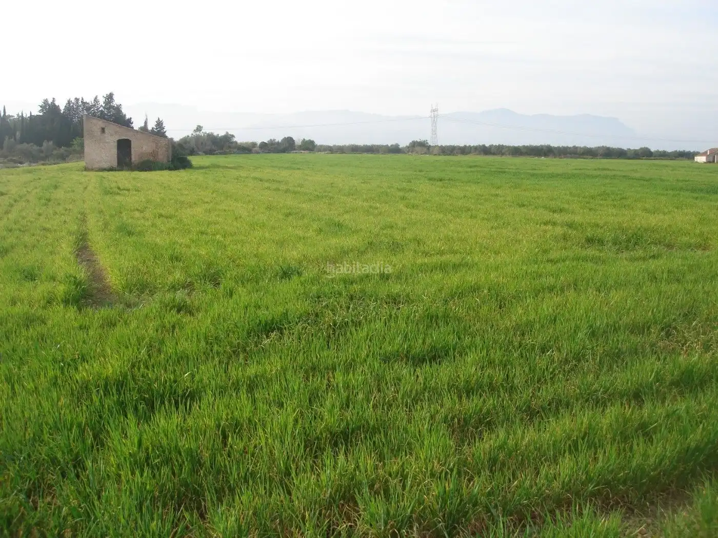 Rural land for sale in Godall, imagen 3