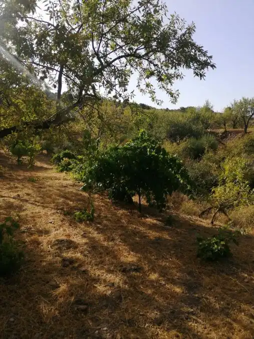 Terreni e lotti in vendita a Lecrín, imagen 8