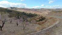 Terreny en venda en Lorca