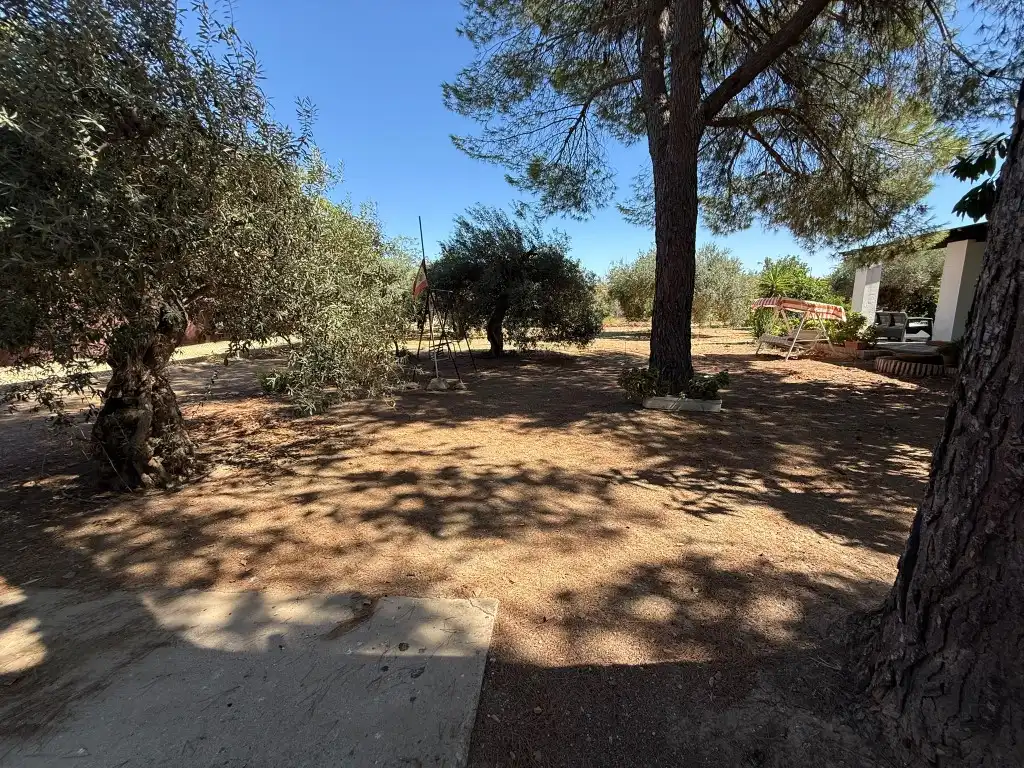 Casa rústica en venda a Urbanizacion Cañada Baja, imagen 49