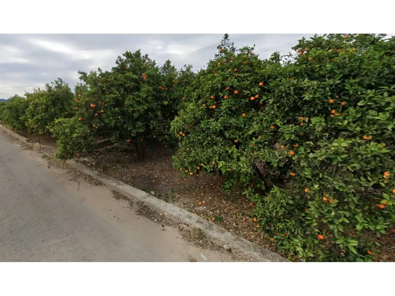 House with garden for sale in Camino Bancalons, imagen 3