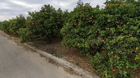 Foto 3 de Casa o chalet en venta en Camino Bancalons, Oliva pueblo, Valencia