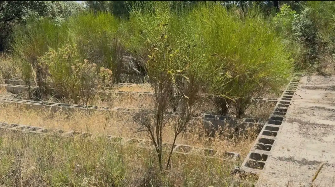 Rural land for sale in Autovía de los Pantanos 51