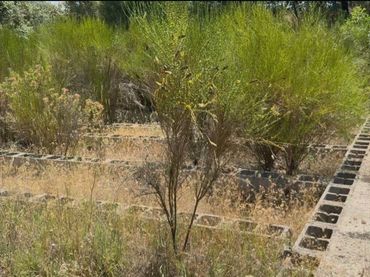 Terreno rustico in vendita a Autovía de los Pantanos 51