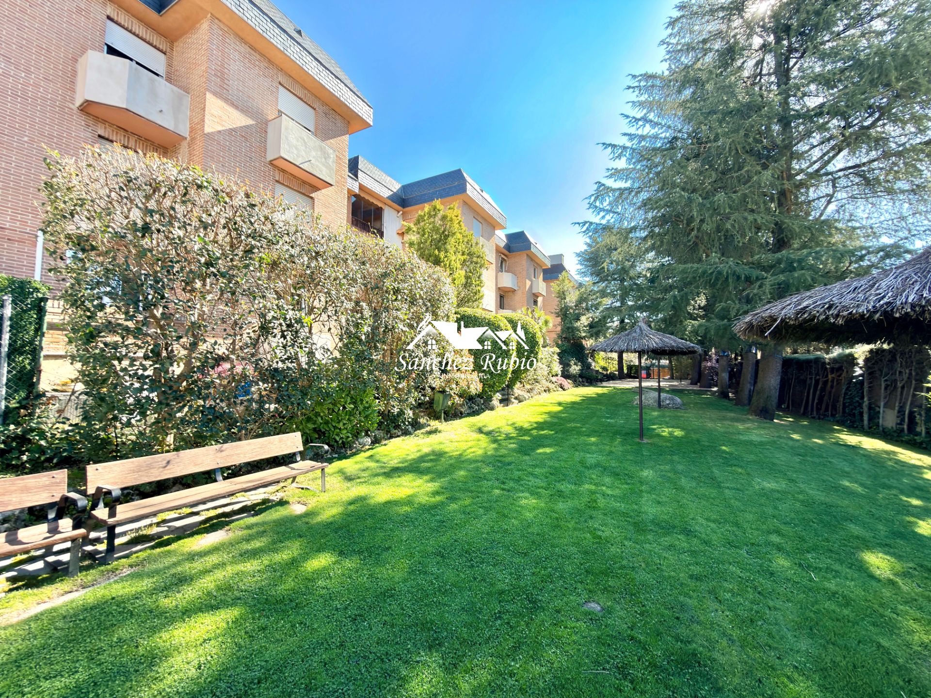 Pis en venda a Calle Francisco Sicilia, 4, Casco Antiguo