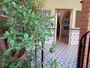 Pis amb jardí en venda a Tomelloso, imagen 2
