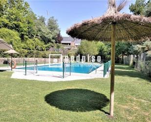 Swimming pool of Flat to rent in  Madrid Capital  with Swimming Pool