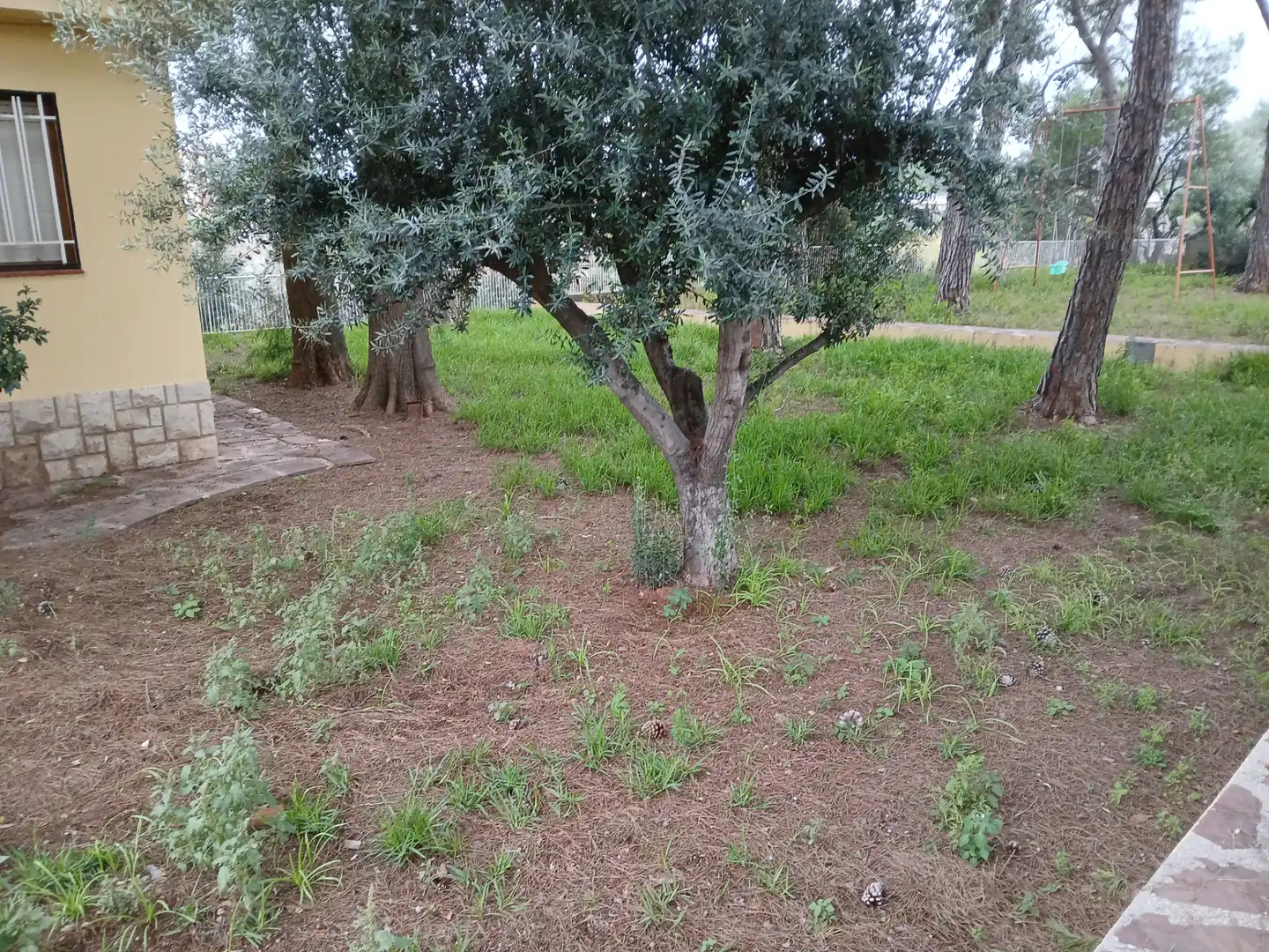 Xalet amb piscina en venda a Les Boqueres - Santa Quiteria, imagen 22
