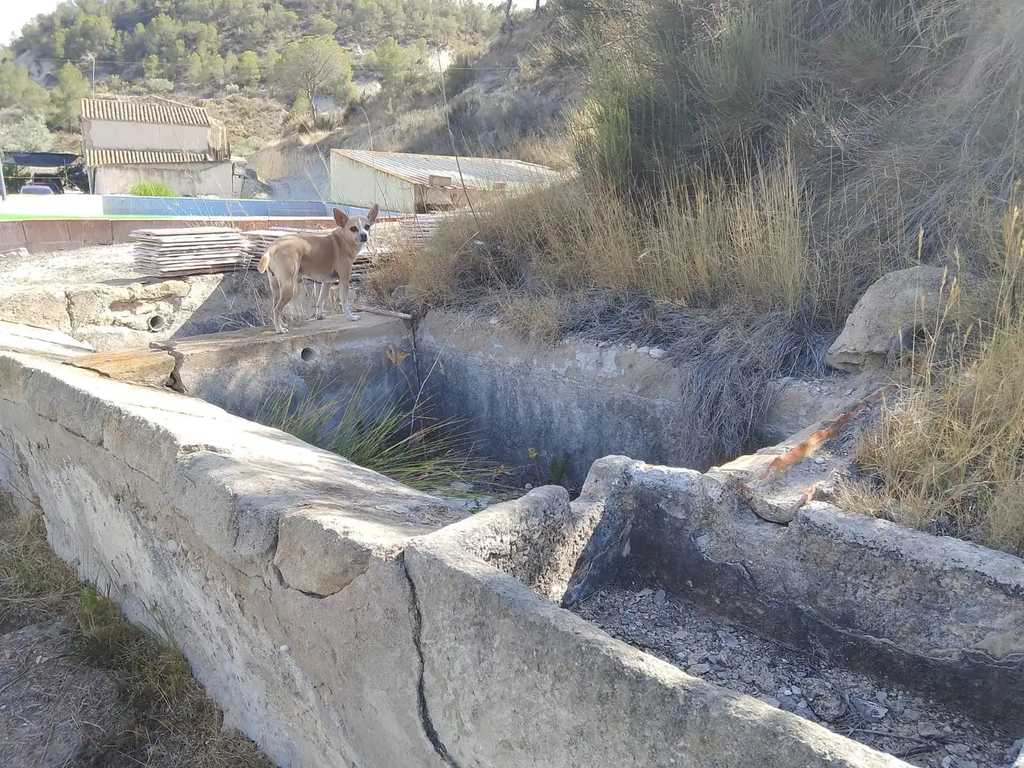 Terreno rustico in vendita a N/A, imagen 135
