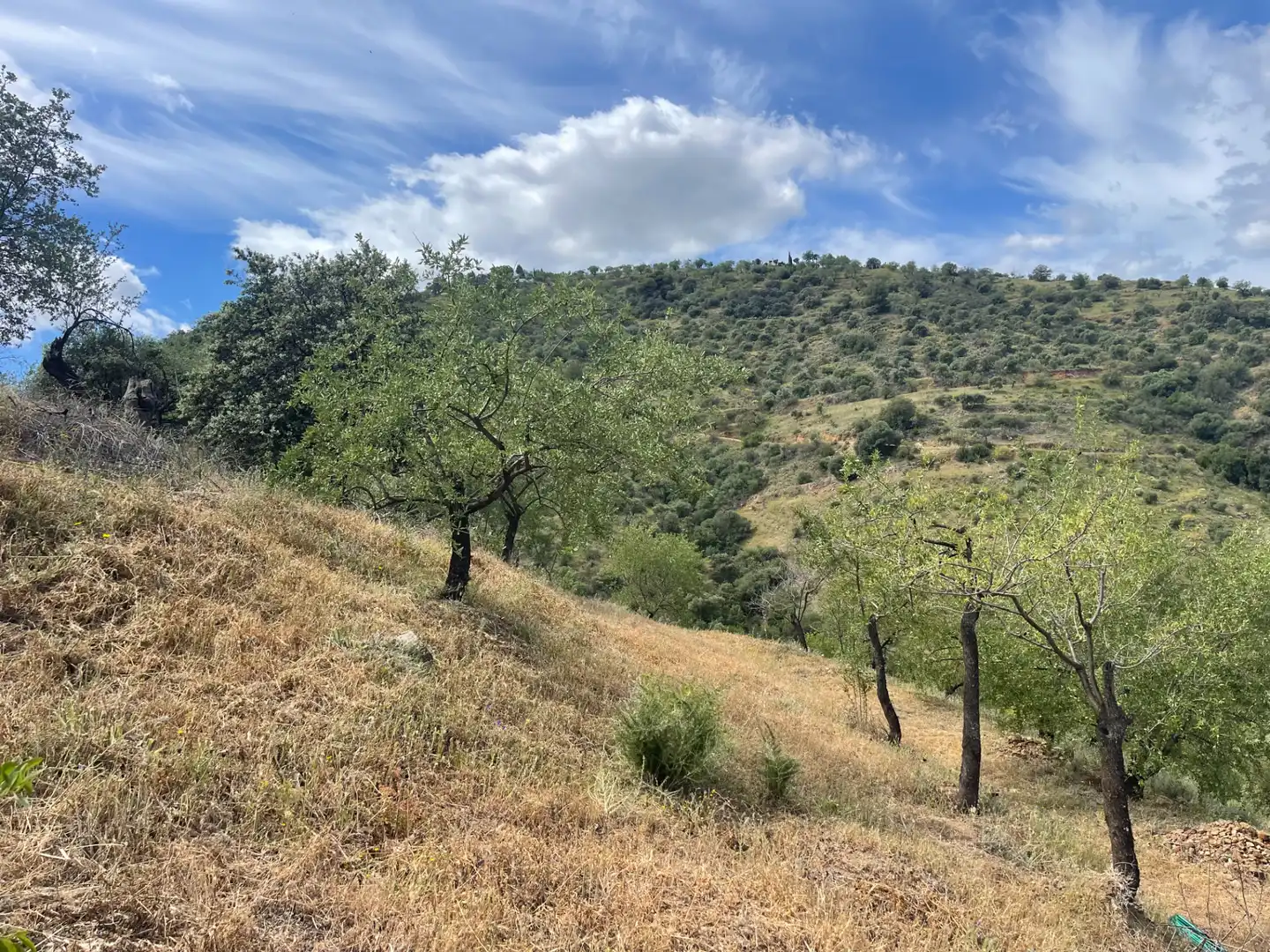 Terreno en venta en Guaro