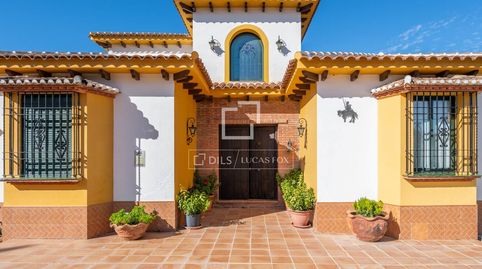 Espectacular cortijo de 4 dormitorios de estilo andaluz en venta a 20 minutos de Villanueva del Rosario, imagen 2