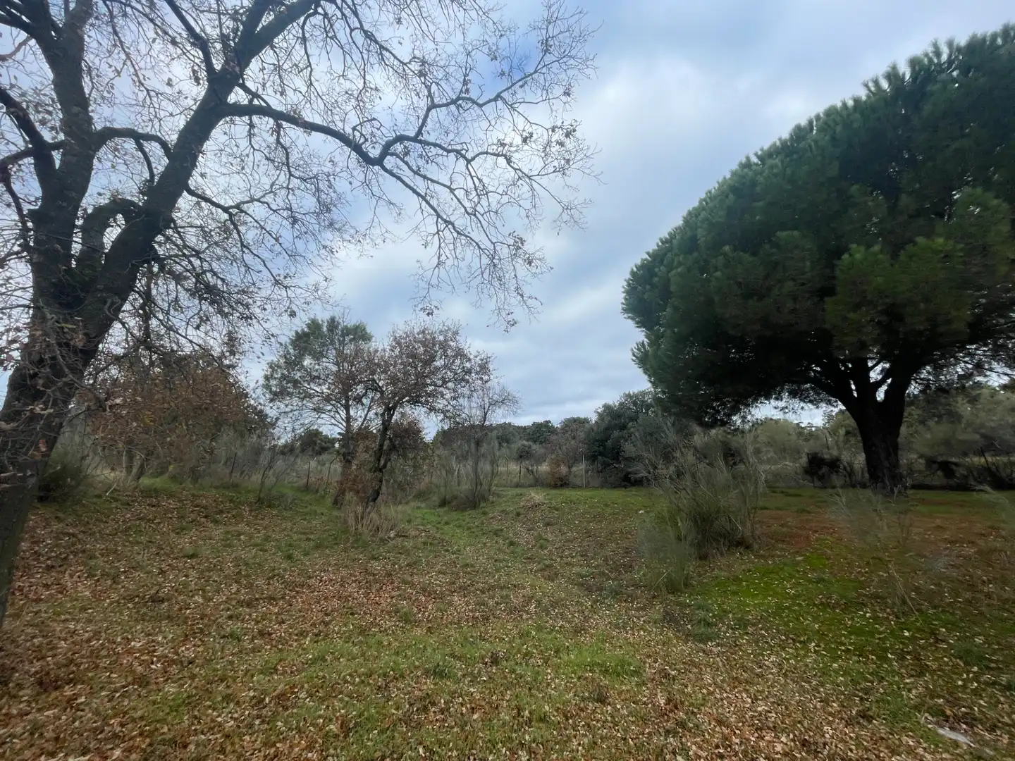 Residencial en venta en Uceda