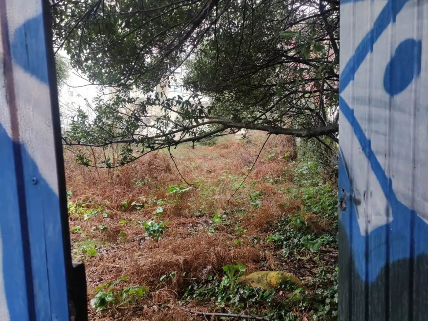 Terreny residencial en venda a ARZOBISPO MALVAR, imagen 24