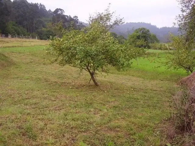 Wohnbaugrundstück zum Verkauf in Pravia, imagen 3