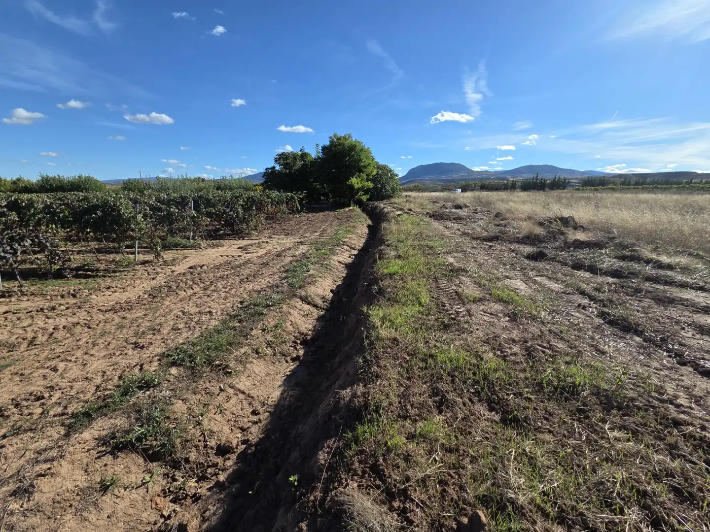 Terrain rustique à vendre à Alberite, imagen 19