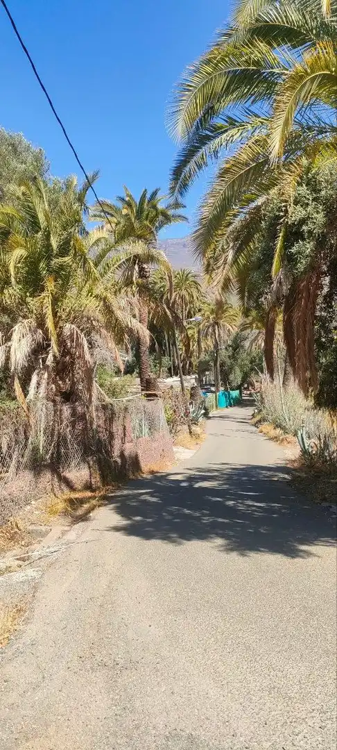 Vista exterior de Finca rústica en venta en Santa Lucía de Tirajana con Trastero