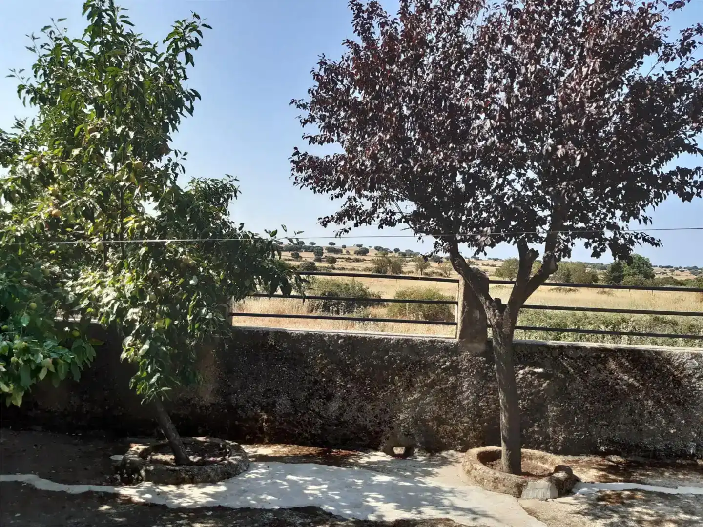 Planta baixa en venda en Moraleja de Sayago amb Jardí privat