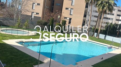 Foto 4 de Piso de alquiler en Periodista Aquilino Morcillo Herrera, Cerrillo de Maracena - Periodistas, Granada Capital