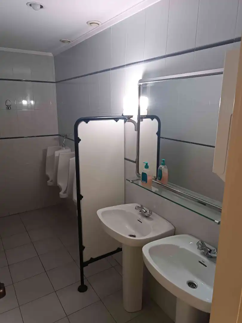 Baño de Nave industrial en venta en Derio