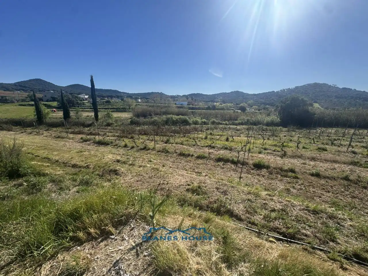 Terreno rustico in vendita a Calle Bosch Rabasa 1, imagen 21