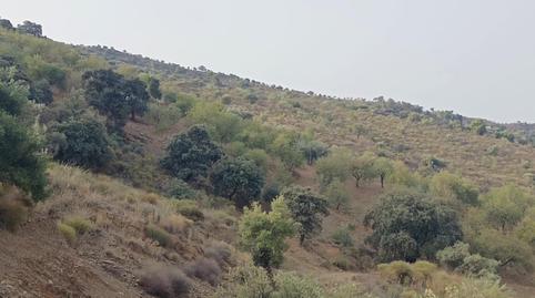 Photo 2 of Land for sale in Centro Histórico, Málaga