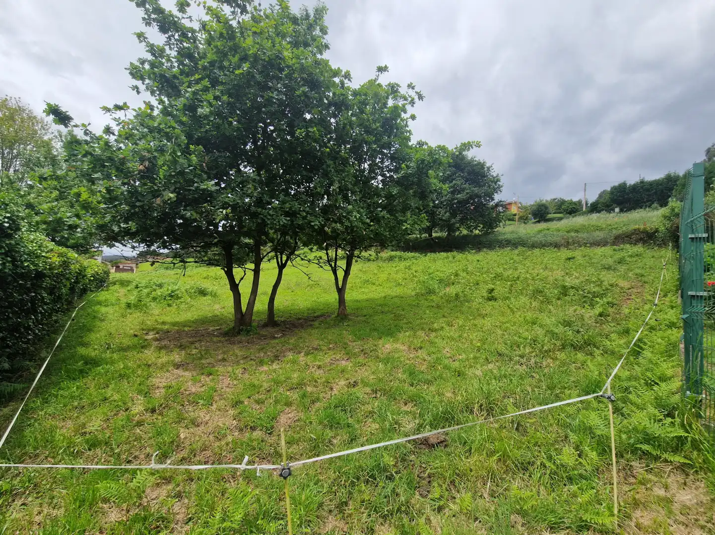Terrain rustique à vendre à Santa María del Mar - El Puerto, imagen 2