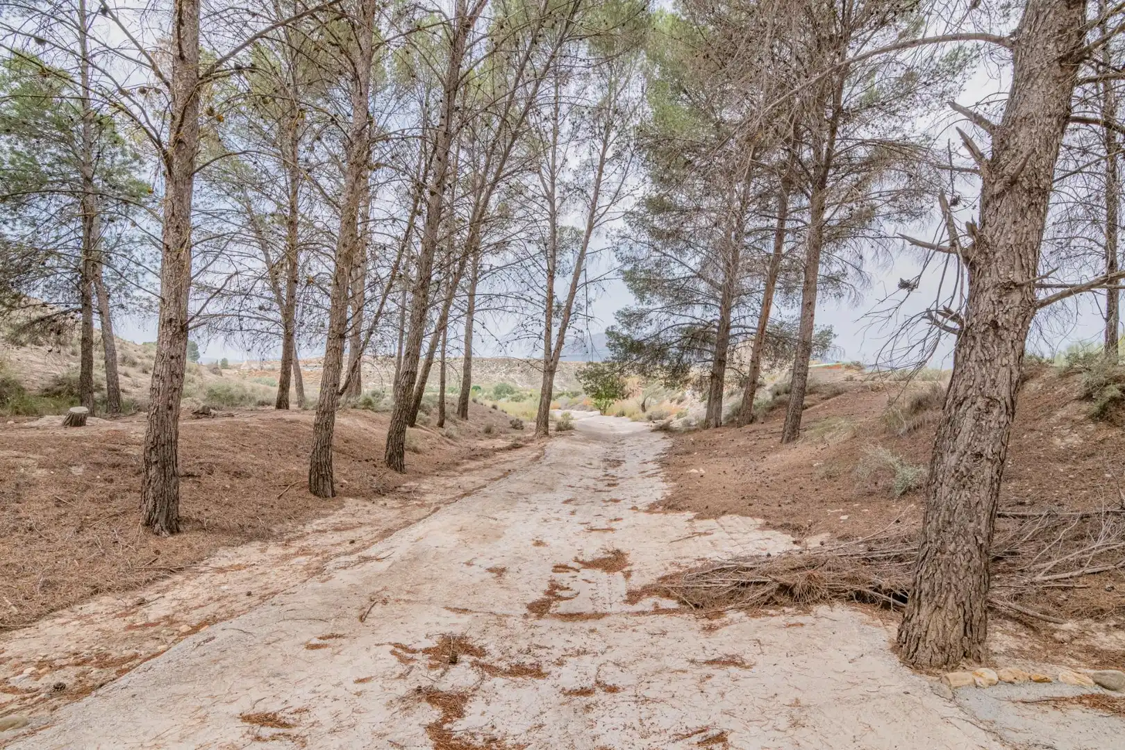 Terreni e lotti in vendita a Baza, imagen 41