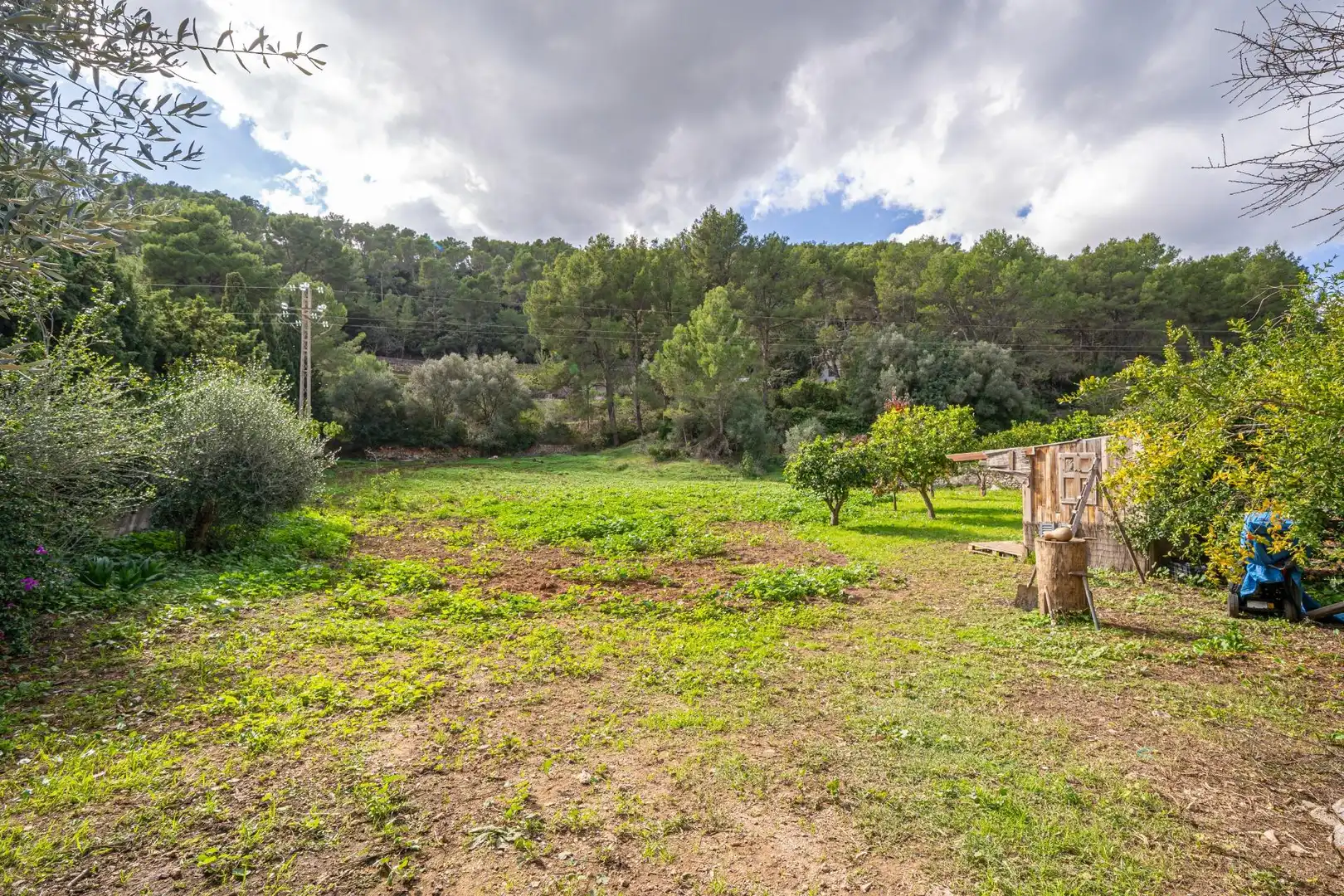 Country house with garden for sale in Costa de son Trias 1, imagen 40