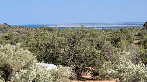 Photo 3 of Country house for sale in El Perelló, Tarragona