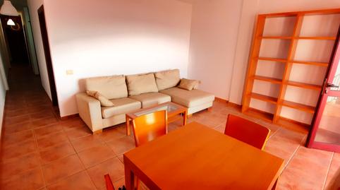 Photo 4 of Flat for rent in Lugar Diseminado San Felipe, Santa María de Guía de Gran Canaria, Las Palmas