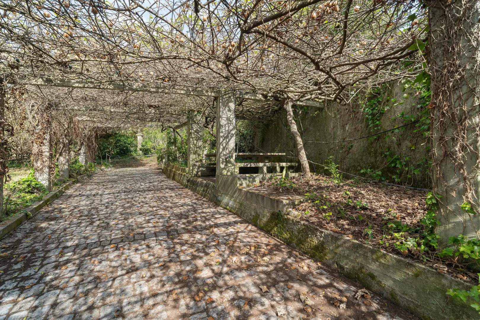 Jardí de Residencial en venda en Oleiros