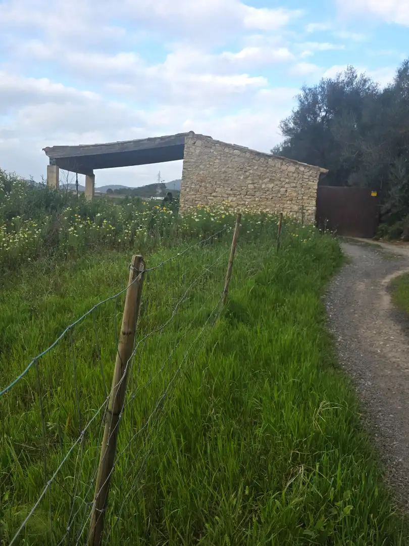 Rural land for sale in Felanitx Poble, imagen 11