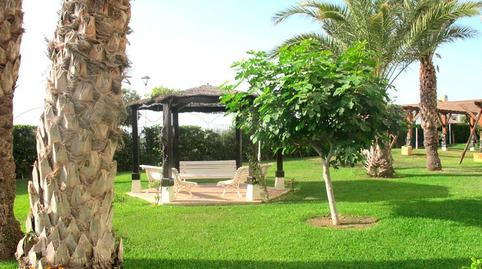 Foto 2 de Piso en venta en Calle Sant Vicent, Campello Playa, Alicante