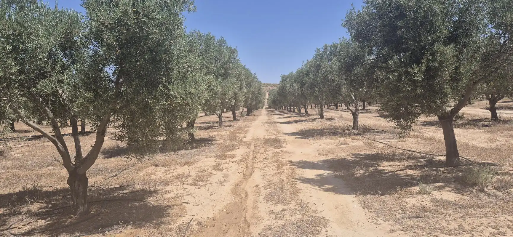 Finca rústica en venta en Cúllar con Calefacción, Jardín privado y Piscina